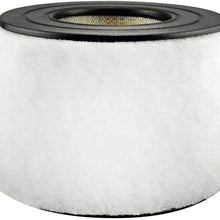 Baldwin PA3890 Air Element