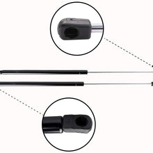 Front Hood Lift Support Gas Struts Fit 2013-2016 Toyota Avalon 2012-2016 Toyota Camry TUPARTS Automotive Replacement Shock Lift Supports