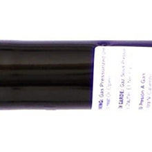 Monroe Shocks & Struts OESpectrum 71347 Suspension Strut