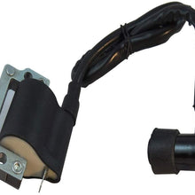 Amhousejoy Ignition Coil Fit for Yamaha QT50 QT 50 Yama Hopper 1979 1980 1981 1982 1983 1984 1985 1986 1987