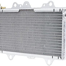 Kawasaki Power Flo Off Road Radiator KFX400 2003-2006 ATV Part# 119-4001