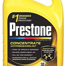 P-restone Extended Life Concentrate Antifreeze/Coolant, 1 gal.