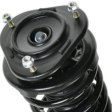 Front Shock Strut & Spring Pair Set Kit Driver & Passenger for Prizm