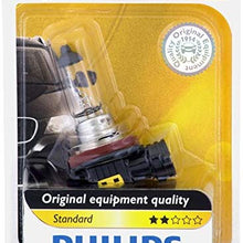 Philips H8 Standard Halogen Headlight Bulb (Pack of 1)