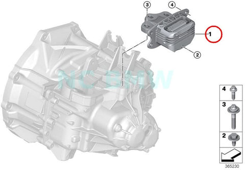 BMW Genuine Transmission Bearing Set