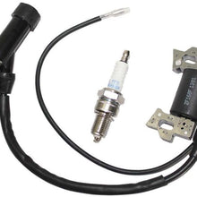 Aquiver Auto Parts New Ignition Coil and Spark Plug for Honda Gx110 Gx120 Gx140 Gx160 Gx200 5.5hp 6.5hp Engine Generator Rototiller 4589693/7988801 30500-ZE1-033 30500-ZE1-063 440-105