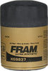 FRAM Ultra Synthetic Automotive Replacement Oil Filter, Designed for Synthetic Oil Changes Lasting up to 20k Miles, XG9837 with SureGrip (Pack of 1)