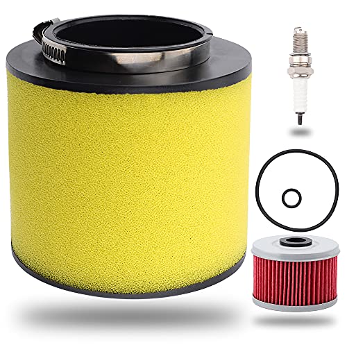 Vichoice 17254-HN5-670 Air Filter For TRX350 TRX350FE TRX350FM TRX350TE TRX350TM TRX400FA TRX400FGA Fourtrax Rancher 4X4 ES ATV Parts