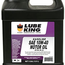 WARREN DISTRIBTUTIO LU04142G 2 gallon 10W40 Gas Engine Oil