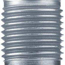 Fram Autolite HT2 Platinum High Thread Spark Plug, Pack of 1