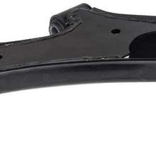 TUCAREST K620359 Front Left Lower Control Arm and Ball Joint Assembly Compatible With 2000 01 02 03 04 05 2006 Nissan Sentra (01-02 Fits 1.8L and 2.0L) Driver Side Suspension
