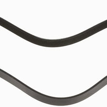 ACDelco 6K1203 Professional V-Ribbed Serpentine Belt