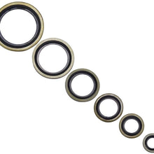 Aeloa 24pcs/Set Imperial Standard Copper Skeleton Oil Seals Assortments for Car