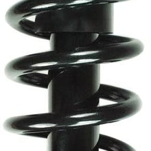 FCS 1345416R Complete Strut Assembly