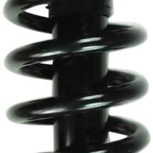 FCS 1336349 Complete Strut Assembly