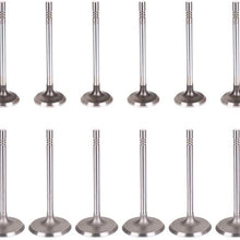 ECCPP 16pcs Engine Intake & Exhaust Valves Kit for Dodge Dakota for Jeep Grand Cherokee 4.7L IV1712-8 EV1712-8 211-4073
