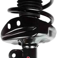FCS 1333365R Complete Strut Assembly