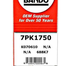 ban.do 7PK1700 OEM Quality Serpentine Belt (7PK1750)
