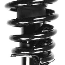 FCS 1336347L Complete Strut Assembly