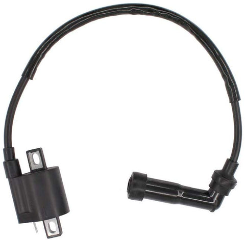Ignition Coil for Yamaha Warrior 350 YFM350X Raptor 660R YFM660R Bruin 250 YFM250B Grizzly 80 Suzuki Quadrunner Quadmaster 500 LTF500F LTA500F ATV