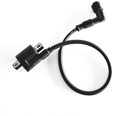 Chinese Ignition Coil 1C for 125-250cc Sport ATVs