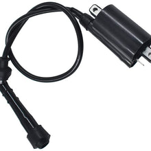 labwork Set of 2 Ignition Coils Fit for Kawasaki Ninja 500 500R EX500D EX500A