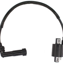 Ignition Coil for Yamaha Warrior 350 YFM350X Raptor 660R YFM660R Bruin 250 YFM250B Grizzly 80 Suzuki Quadrunner Quadmaster 500 LTF500F LTA500F ATV