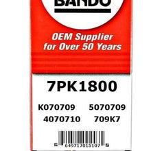 ban.do 7PK1700 OEM Quality Serpentine Belt (7PK1800)