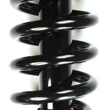 FCS 1336326 Complete Strut Assembly