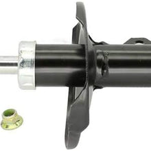AutoDN 1PCS FRONT RIGHT Strut Shock Absorber Compatible With 2003-2008 TOYOTA COROLLA