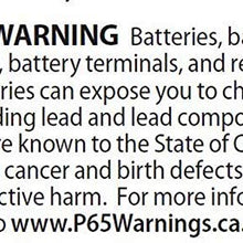 Exide Battery 14BS Motorcycle Battery