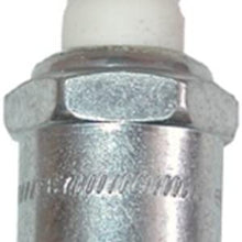 Champion 436 Spark Plug