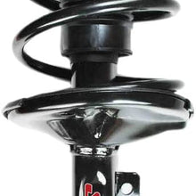 FCS 1332368L Complete Strut Assembly