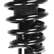 FCS 1336347R Complete Strut Assembly
