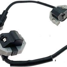 Ignition Coil for Kawasaki FR Series 541V 600V 651V 691V 730V FS Series 481V 541V 600V 691V 730V FX Series 481 THROUGH 921V Replace 21171-0743 21171-0711 21171-0738 21171-7047 21171-7042 21171-7041