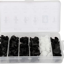 LUJUNTEC 100Pcs Bumper Retainer Clips Auto Fasteners Rivet Clips Body Fastener Kit with Plastic Box