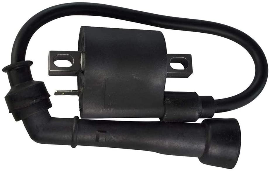 Amhousejoy Ignition Coil Fit for Yamaha Big Bear 400 YFM400 2000 2001 2002 2003 2004 2005 2006 2007 2008 2009 2010 2011