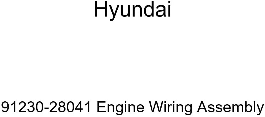 Genuine Hyundai 91230-28041 Engine Wiring Assembly