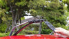 INNO Racks - Locking Surfboard Roof Rack - Water Sport Car Top Mount