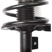 LSAILON Shock and Loaded Quick Front Strut Spring Assembly Rear shock absorber 172241 172240 5600 Replacement for 2004 2005 2006 2007 2008 Nissan Maxima