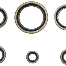 Aeloa 24pcs/Set Imperial Standard Copper Skeleton Oil Seals Assortments for Car
