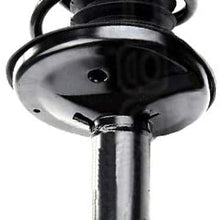 AOKAILI Rear Left Right Complete Strut and Spring Assembly Fit 1998-2002 Chevrolet Prizm 1993-2002 Corolla