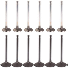 cciyu Engine Intake & Exhaust Valves Kit Replacement for Chevy Cavalier Classic Cobalt for Oldsmobile Alero for Pontiac G5 Aura V4381-SC22 16Pcs