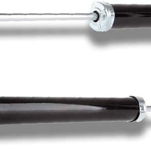 SCITOO Shocks, Rear Gas Struts Shock Absorbers Fit for 2000 BMW 323Ci 328Ci,2001-2006 BMW 325Ci 330Ci,2001-2005 BMW 325i 330i 330xi,1999-2000 BMW 323i,BMW 328i 323is 328is 343352 5988 Set of 2