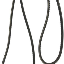 Continental 17531 Automotive V-Belt