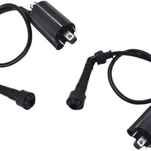 labwork Set of 2 Ignition Coils Fit for Kawasaki Ninja 500 500R EX500D EX500A