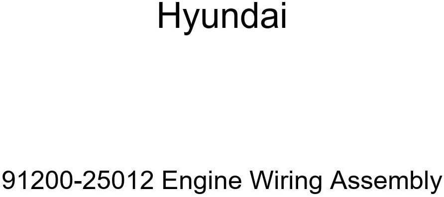 Genuine Hyundai 91200-25012 Engine Wiring Assembly