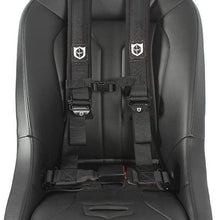 Pro Armor A16UH348BL A16UH349BL Auto Style 4 Point Harness 2 Inch Lap Seat Belt Straps Black Driver Passenger Side