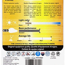 Philips H8 Standard Halogen Headlight Bulb (Pack of 1)