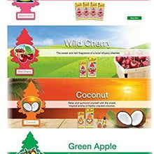 Little Trees Home and Car Air Freshener 12 Pack Most Popular Fruit Scents